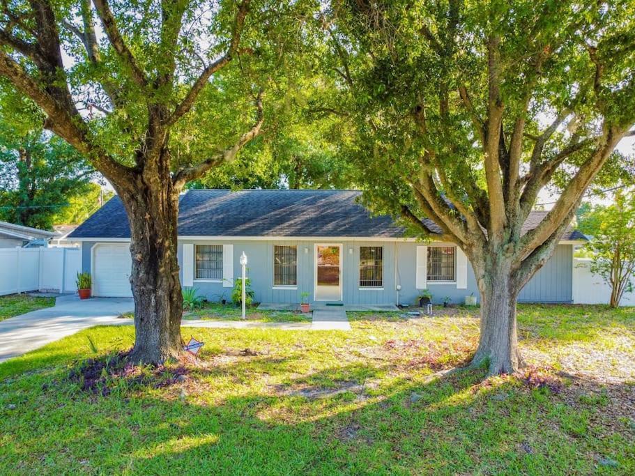 Town 'N' Country Cozy Corner, Your Florida Fun Hub Villa Tampa Exterior foto